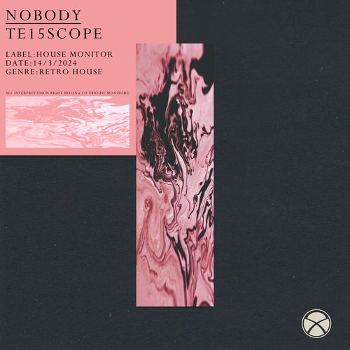 Nobody_poster_image