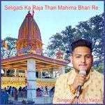 Seligadi Ka Raja Thari Mahima Bhari Re