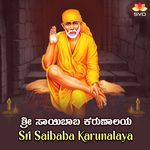 Sri Saibaba Karunalaya