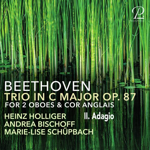 Trio for 2 Oboes &amp; Cor Anglais in C Major, Op. 87: II. Adagio_poster_image