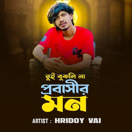 Tui Bujhli Na Probashir Mon