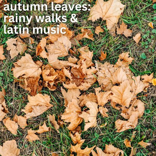 autumn leaves: rainy walks & latin music