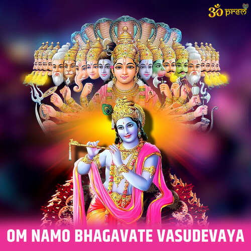 om namo bhagavate vasudevaya