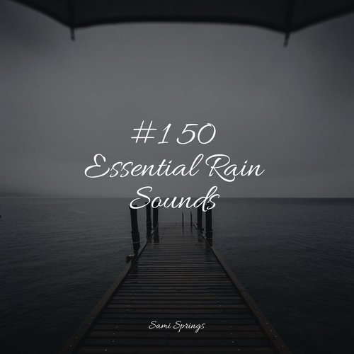 #1 50 Essential Rain Sounds