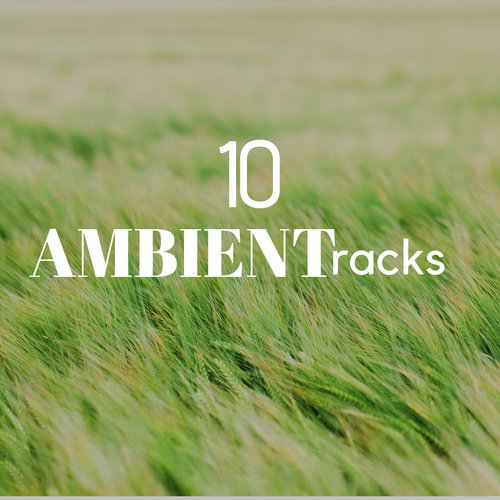 Ambient Tracks cover art