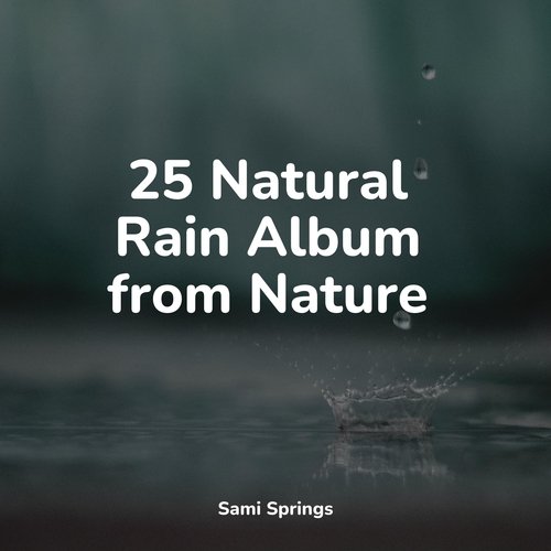 25 Natural Rain Album from Nature