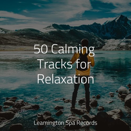 Wellbeing cover art
