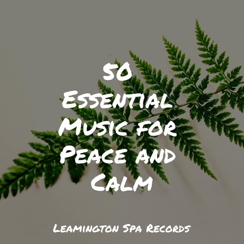 Lazy Morning cover art