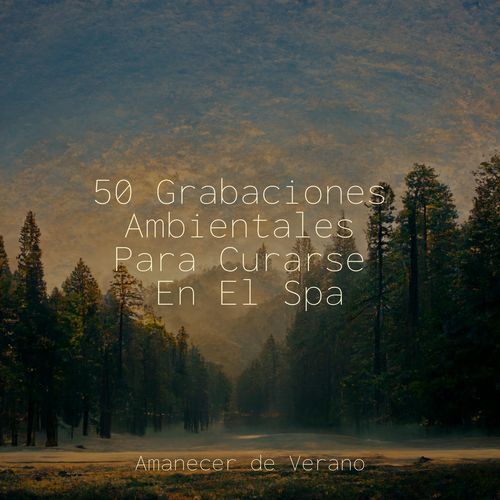 50 Grabaciones Ambientales Para Curarse En El Spa