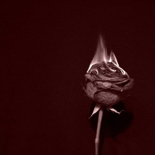 The Flame cover art