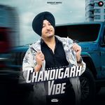 Chandigarh Vibe