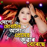 DESHE MOBAIL ASHONE PREMER JUWAR BERESE