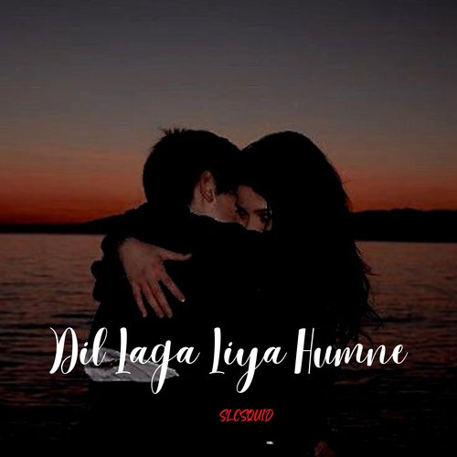 Dil Laga Liya Humne_poster_image