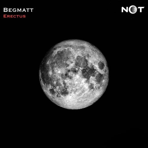 Erectus (Original Mix) cover art