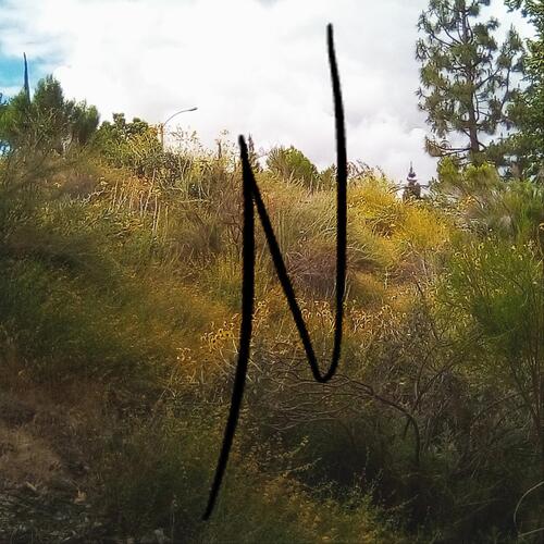 Vernon cover art