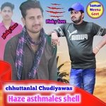 Haze asthmales shell