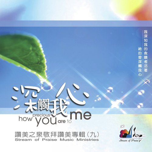 我全心頌讚 I Will Praise You