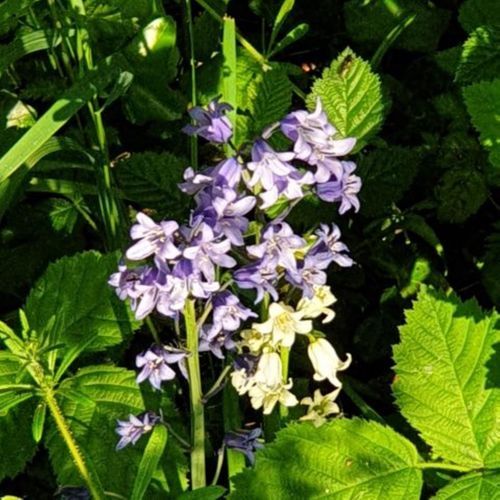 It Aint Gonna Work Nah