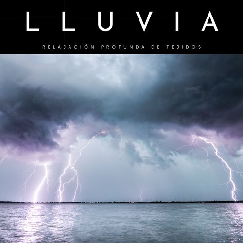 Lluvia: Relajación Profunda De Tejidos_poster_image