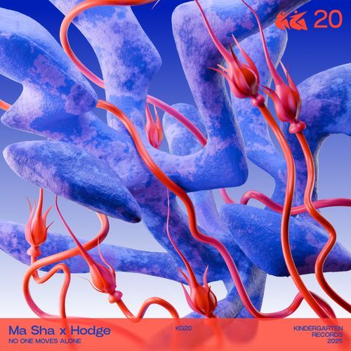 Rill cover art