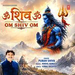 Om Shiv Om