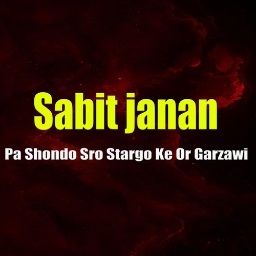 Pa Shondo Sro Stargo Ke Or Garzawi_poster_image