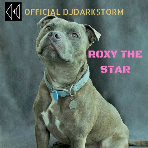 Roxy the Star cover art