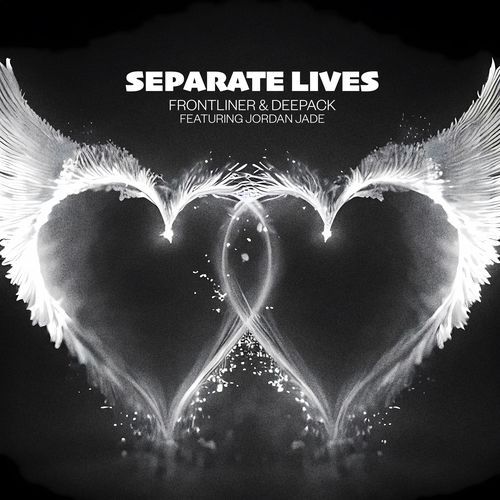 Separate Lives_poster_image