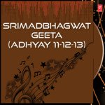 Srimadbhagwat Geeta Adhyay Part-4