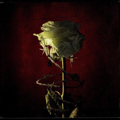 The Martyrs' Blood cover art