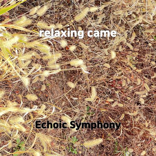relaxing came cover art