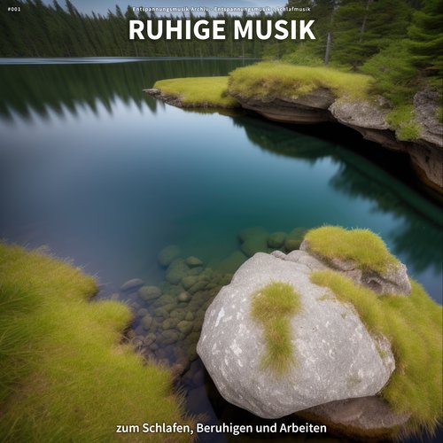 Wellness cover art