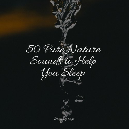 50 Pure Nature Sounds to Help You Sleep_poster_image