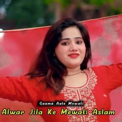 Alwar Jila Ke Mewati Aslam-QjEiQgZ7UUs