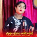 Amar Hoilo Akta Shali