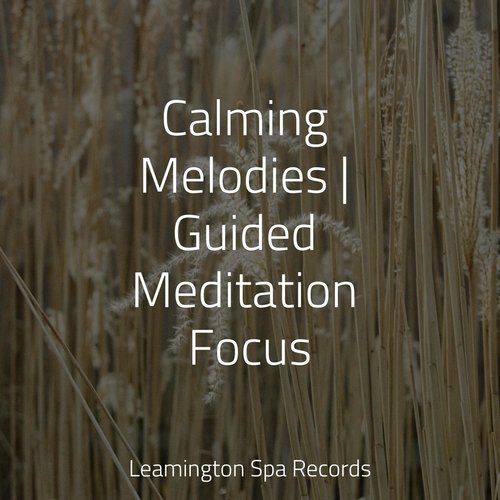 Lazy Morning cover art
