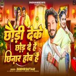 Chhaudi Deke Chhod De Hai Chhinar Hov Hai