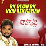 Dil Diyan Dil Vich Reh Gayian