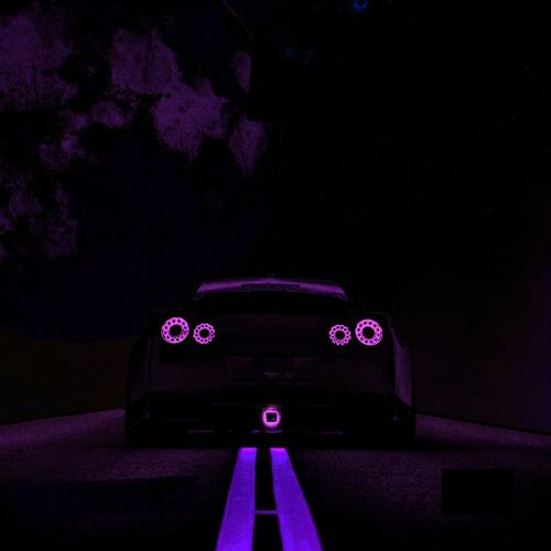 FLY SWAT cover art