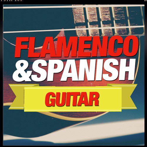 Flamenco and Spanish Guitar