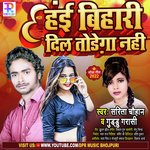 Hai Bihari Dil Todega Nahi