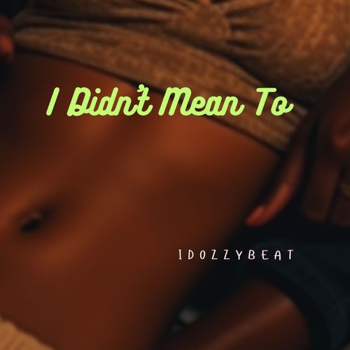 I Didn't Mean To cover art