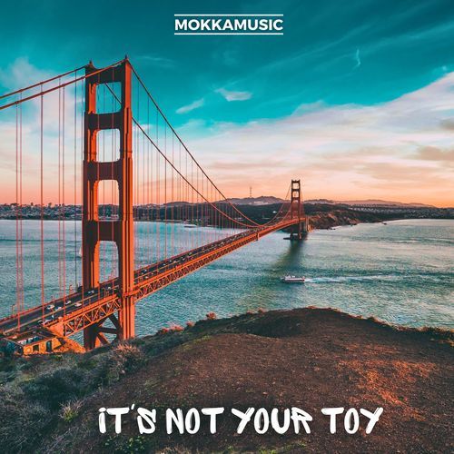 It's Not Your Toy cover art
