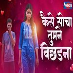 Kaise Socha Tumne Bichhdana