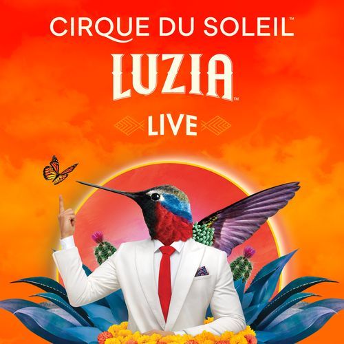 Alebrijes (Live) cover art
