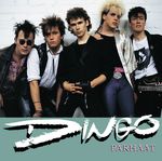 Nimeni on Dingo