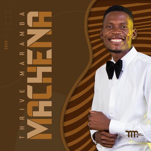 Munozvikwanisa cover art