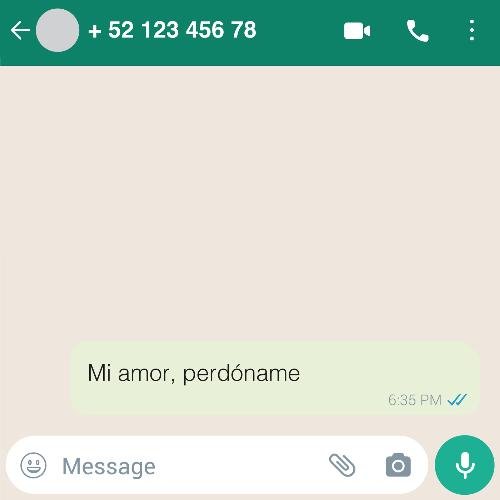 Mi amor, perdóname