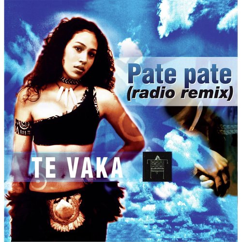 Pate Pate (Radio Remix)_poster_image