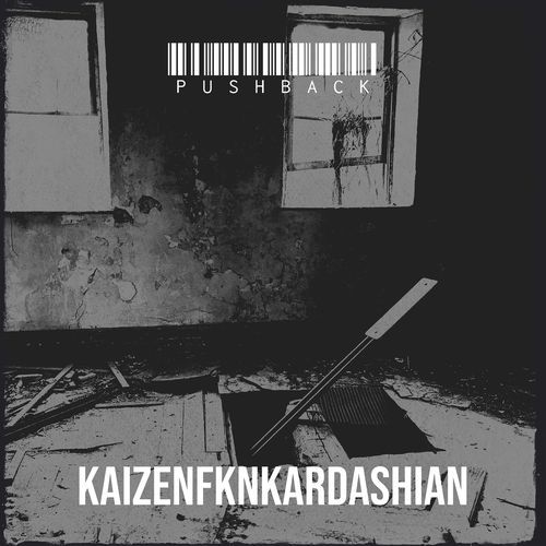 Pushback cover art